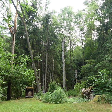 Ferienwohnung Niemann In Lutterloh Unterluss 外观 照片